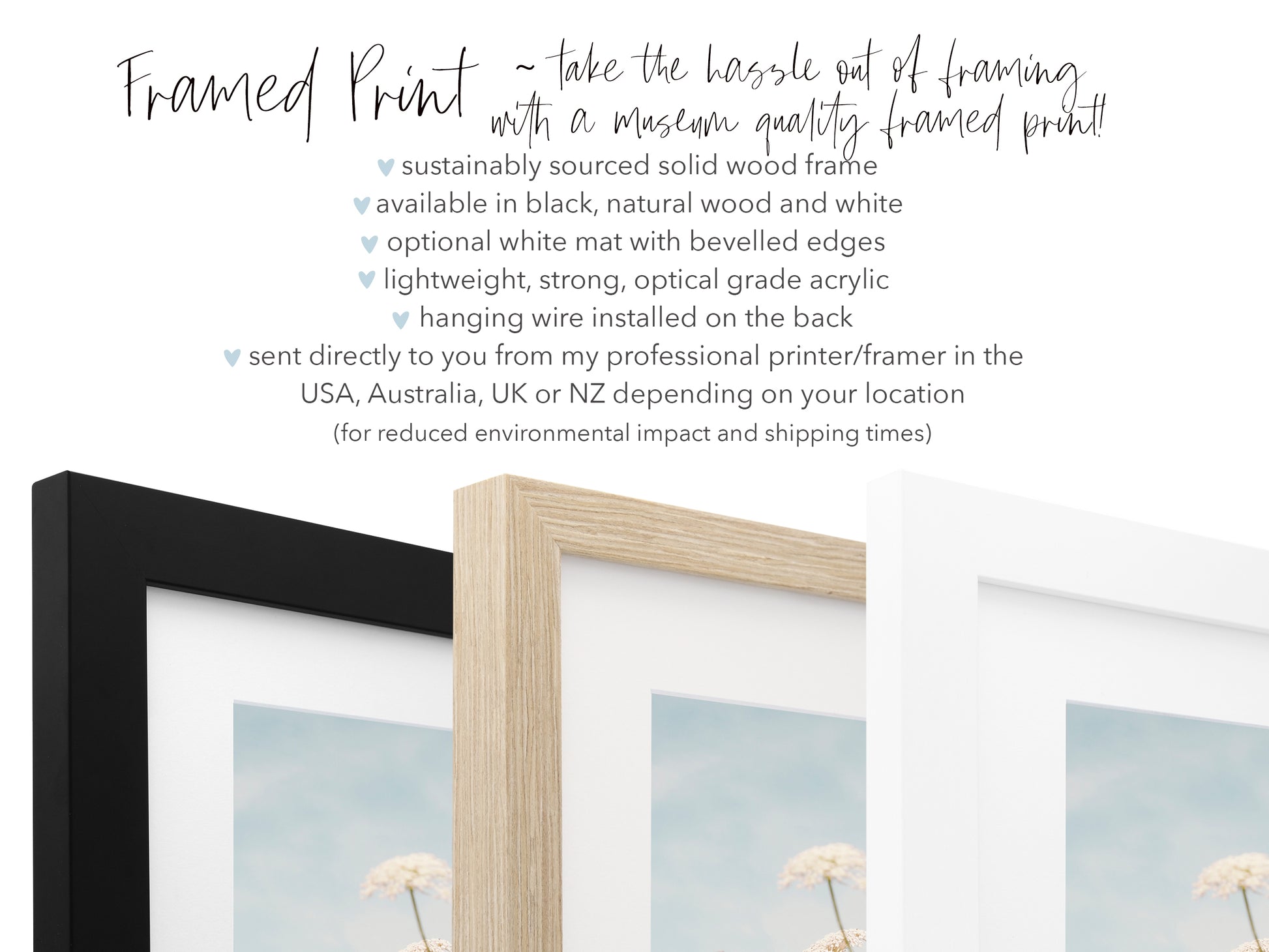 a picture frame with a picture of a dandelion in it