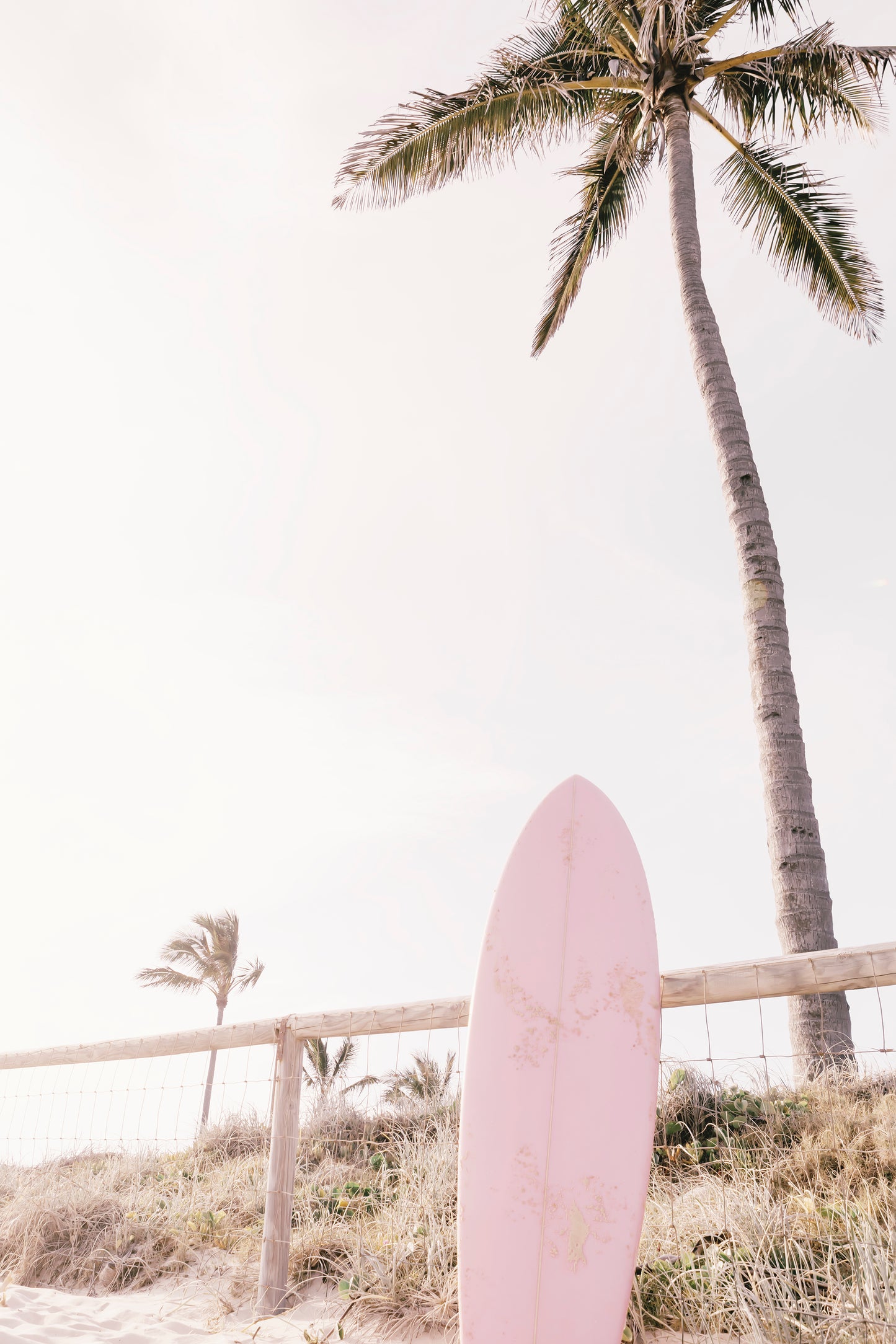 a pink surfboard leaning against a palm tree