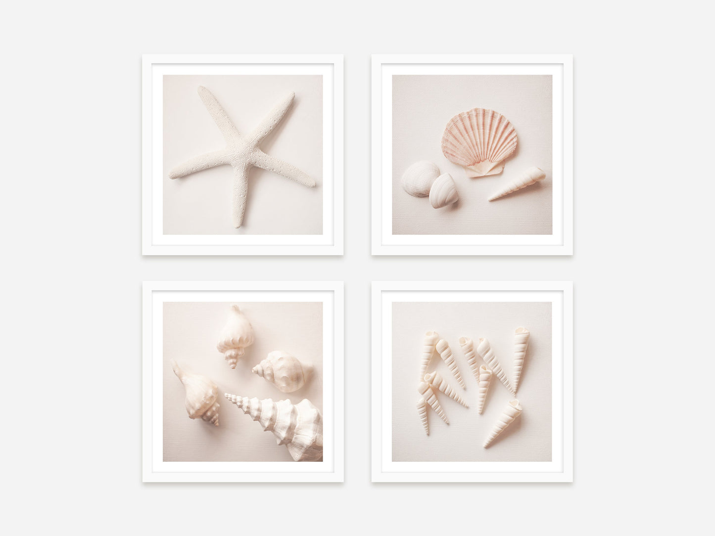 Shell Print Set