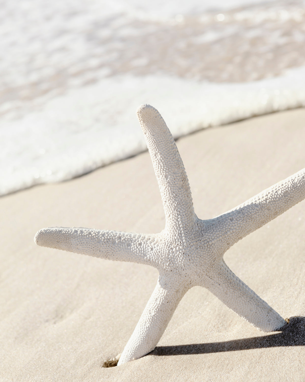 Star and Sand