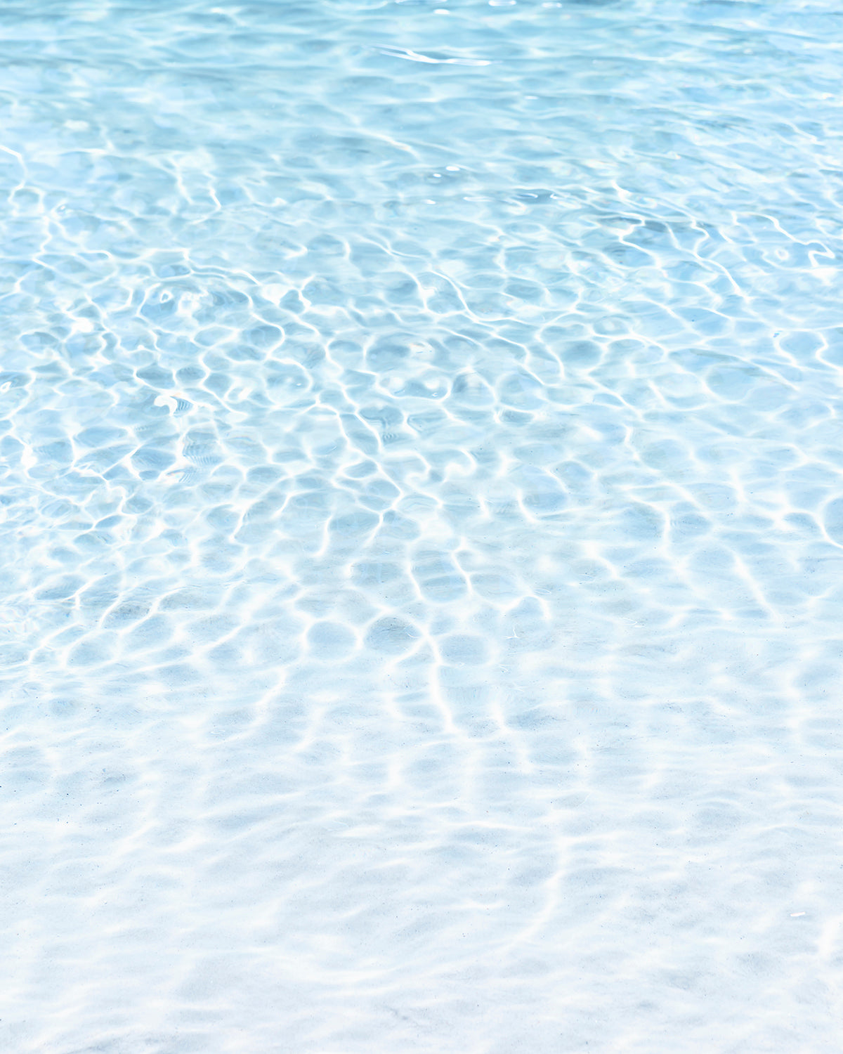 The Blue Ocean
