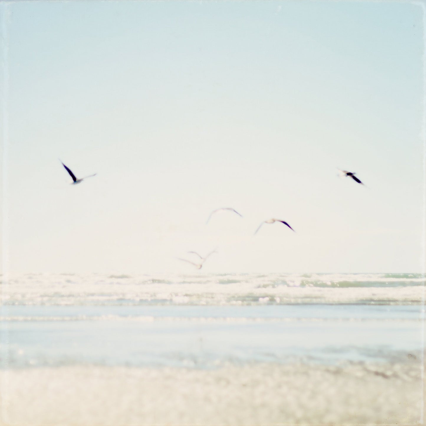Faded Flight