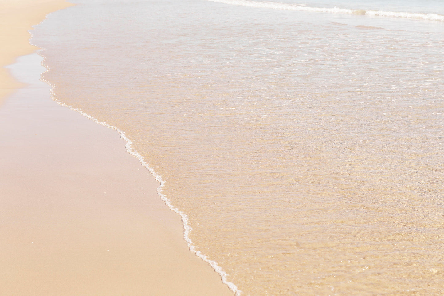 Sandy
