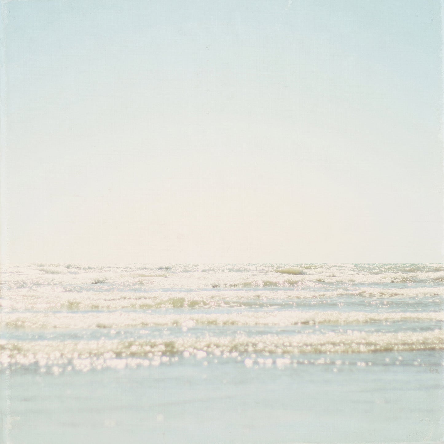 Pale Blue Seagull Wall Art Set