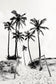All Walks Lead to the Coast (Black & White)