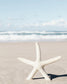 Beach Cartwheels