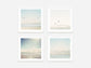 Pale Blue Seagull Wall Art Set