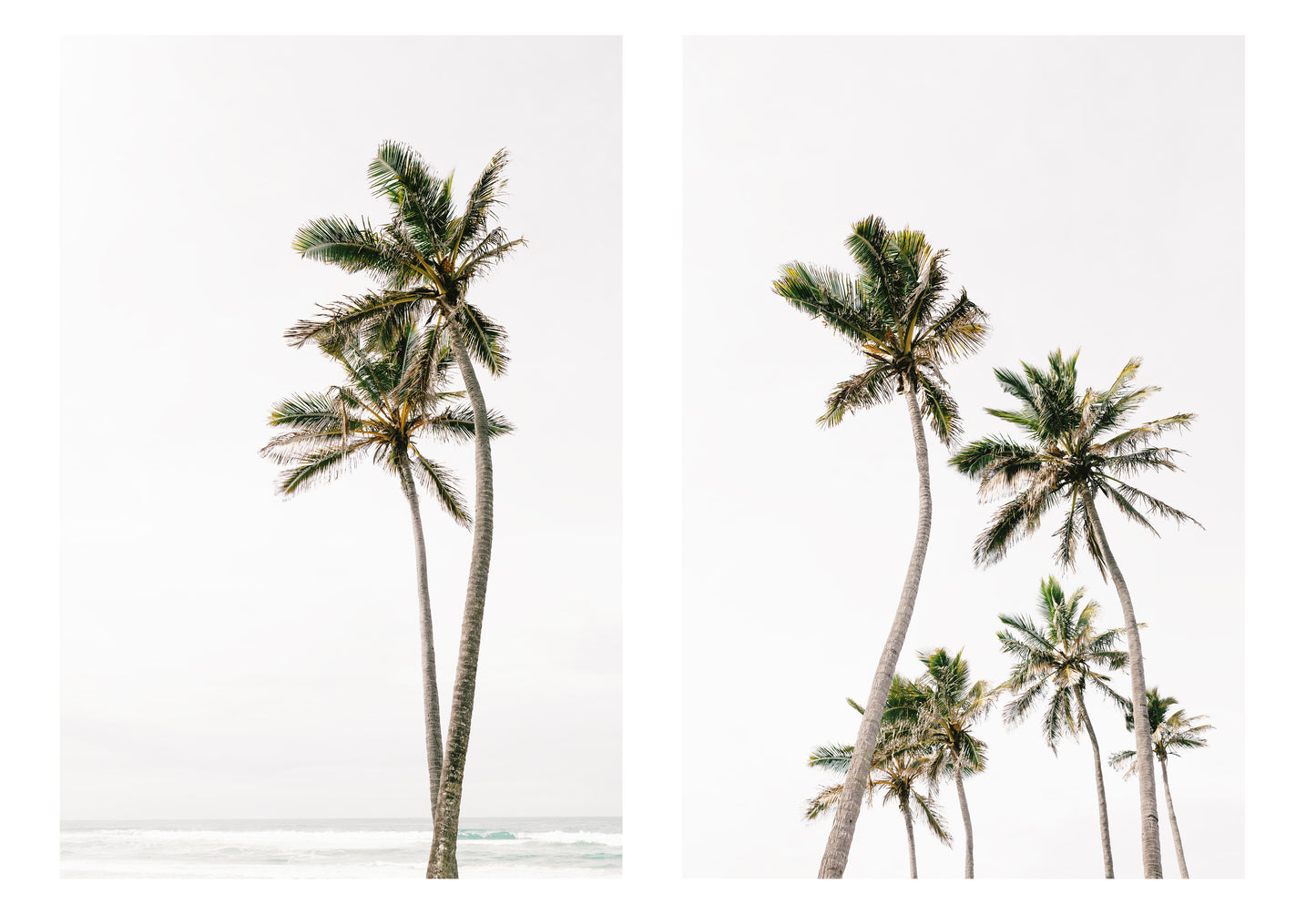 Palm Tree Duo No. 1  Wall Art Set