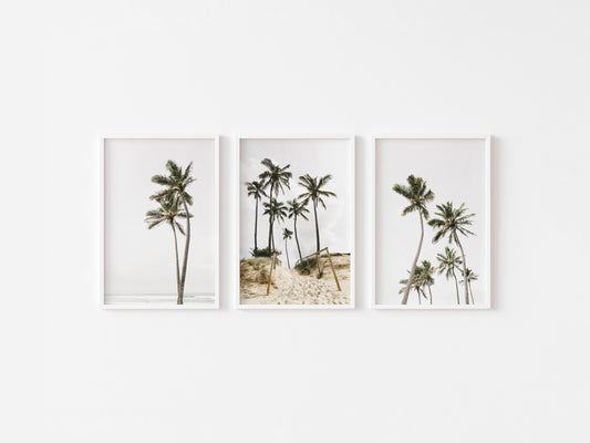 Palm Tree Trio Wall Art Set