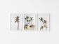 Palm Tree Trio Wall Art Set