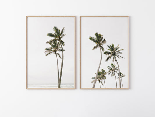 Palm Tree Duo No. 1  Wall Art Set