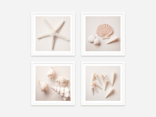 Shell Print Set