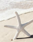 Star and Sand