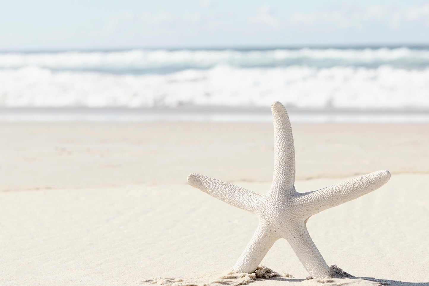 Star in the Sand