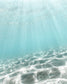 Aqua Underwater Ocean Wall Art Set