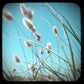 Vintage Coastal Wall Art Set