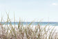 The Dunes