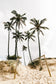 Palm Tree Trio Wall Art Set