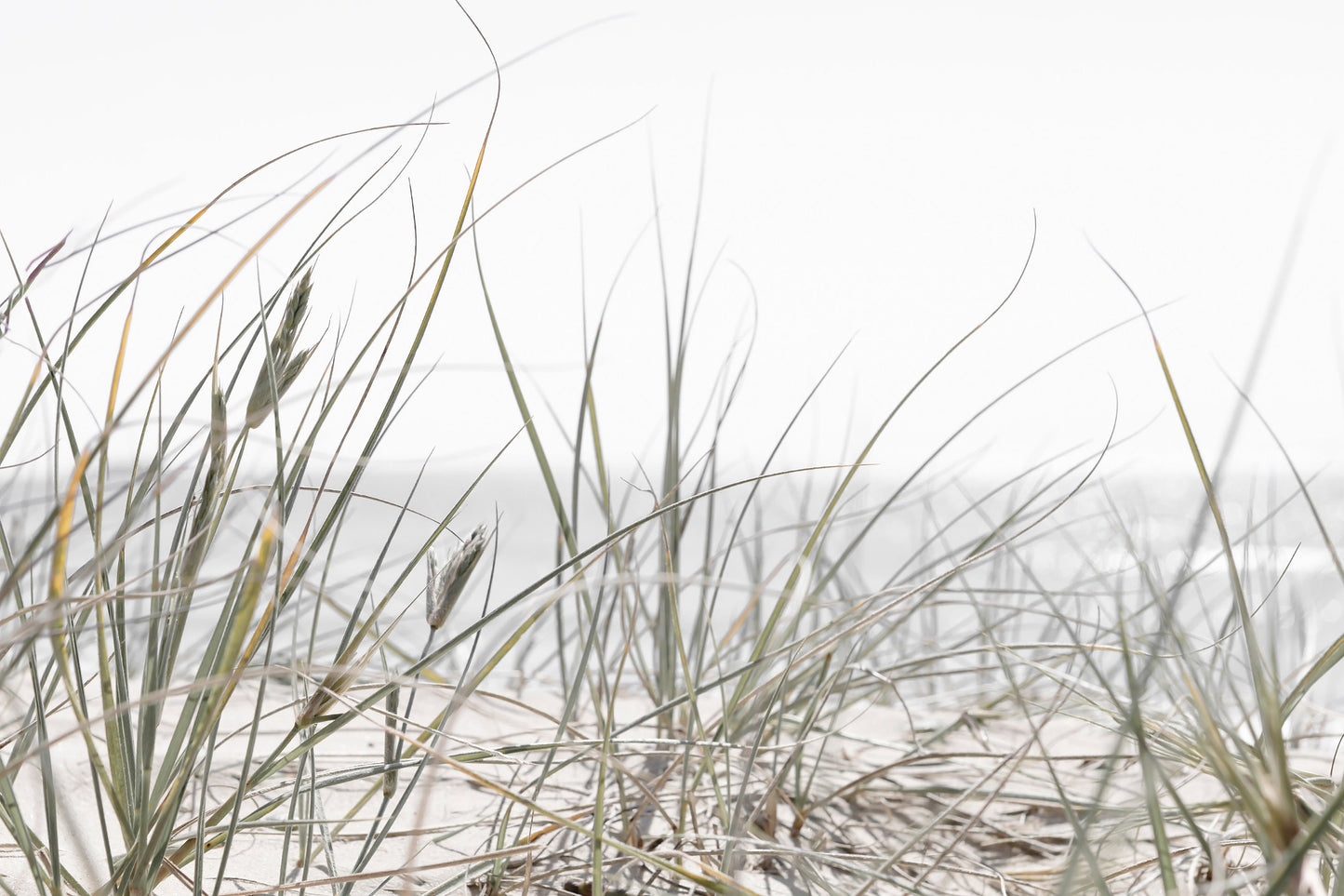 Sea Gulls and Sand Dunes Wall Art Set