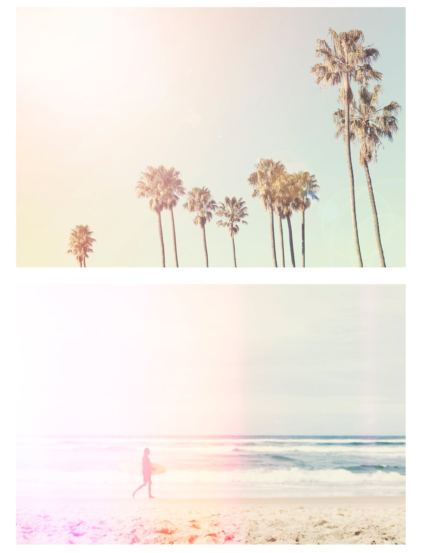 Pastel Surf Palms and Beach Wall Art Set