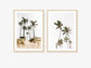 Palm Tree Duo No. 2 Wall Art Set