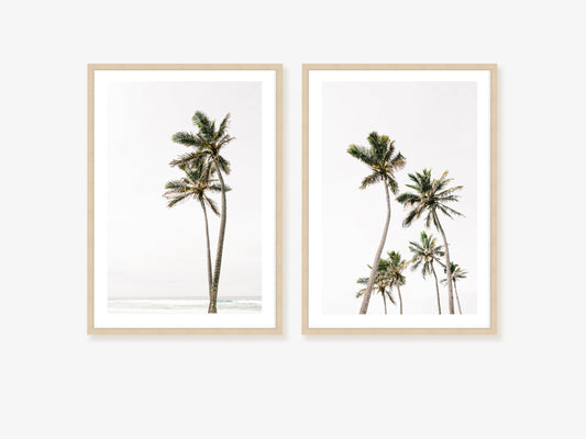 Palm Tree Duo No. 1  Wall Art Set