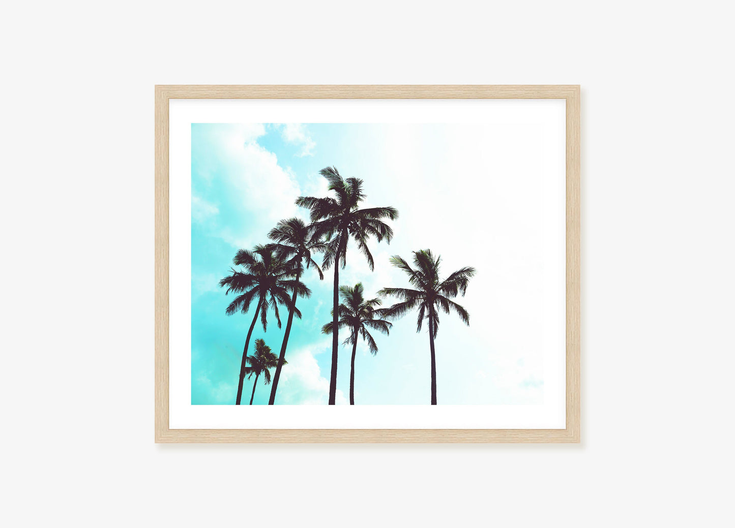 Turquoise Palms