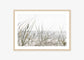 Sea Grass
