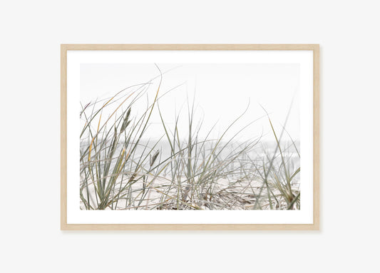 Sea Grass