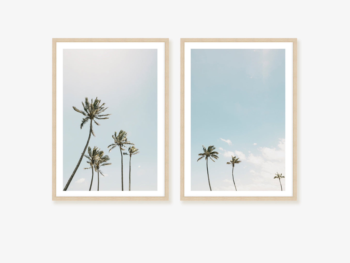 Sun Drenched Palms Wall Art Set