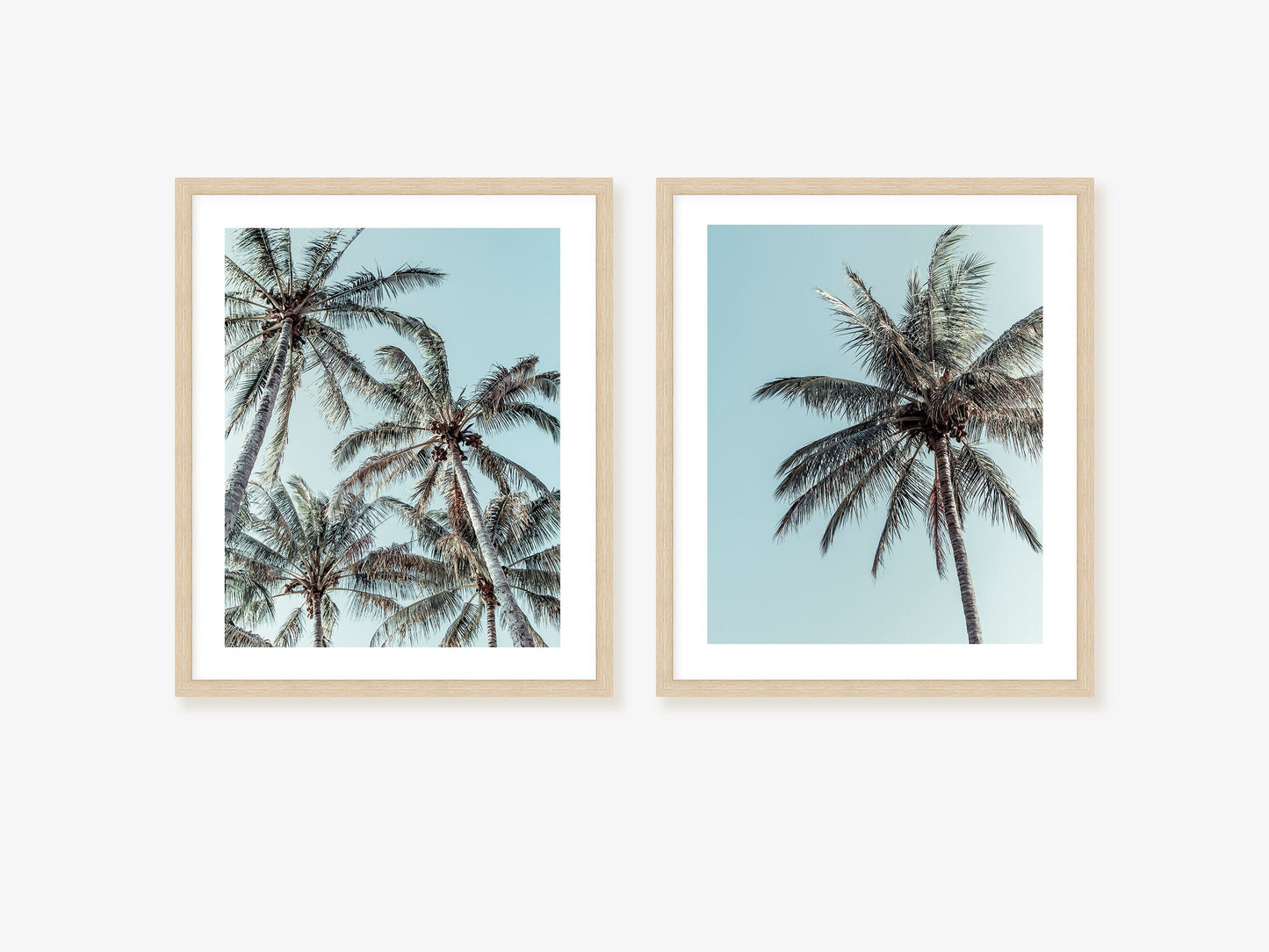 Vibrant Palm Tree Wall Art Set