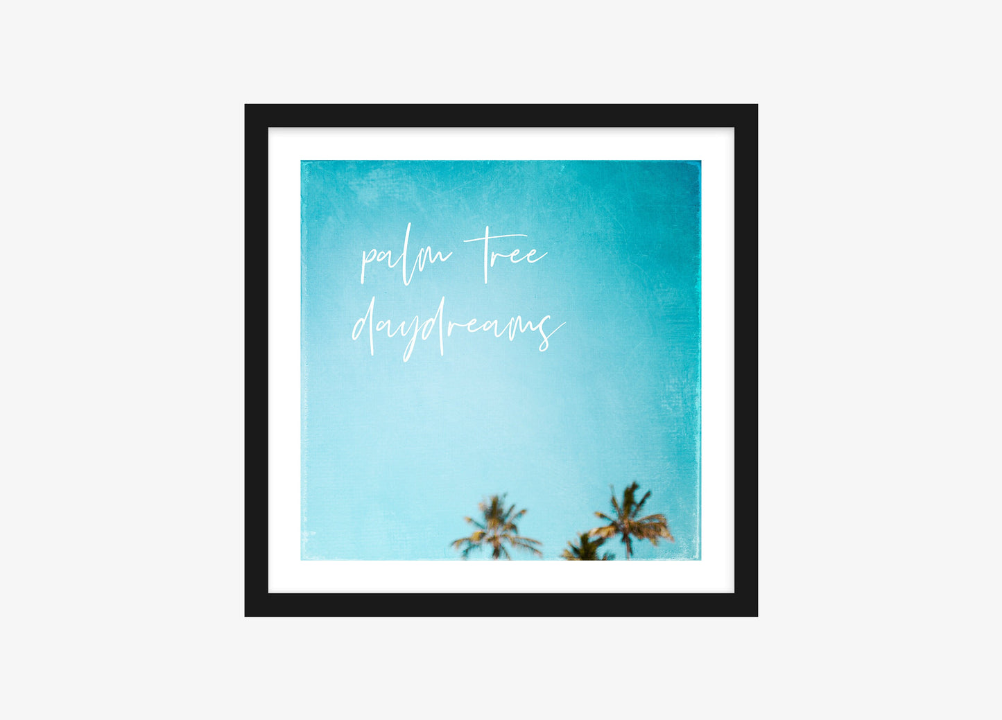 Palm Tree Daydreams