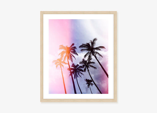 Purple Palms