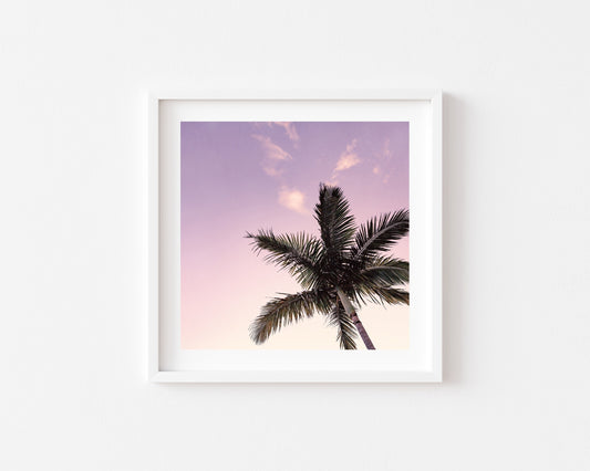 Pastel Palms