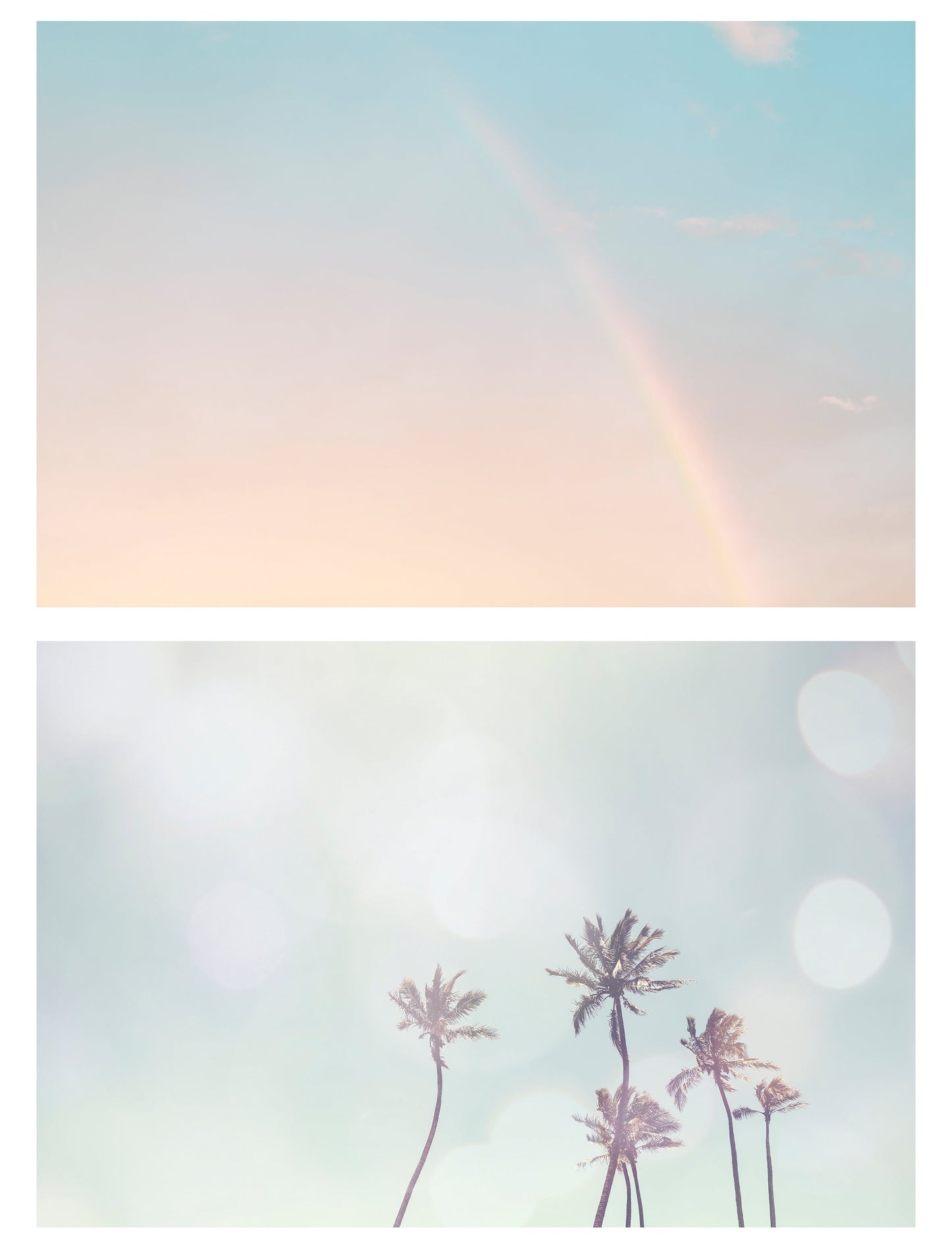 Pastel Palms and Sky Wall Art Set