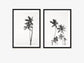 Palm Tree Duo No. 1 Monochrome Wall Art Set