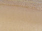 Sandy