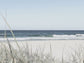 Sea Gulls and Palms Wall Art Set