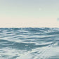 The Whimsical Ocean Wall Art Set